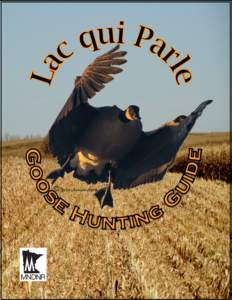 Lac qui Parle Goose Hunting Guide