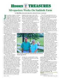 Silvopasture Works On Sudduth Farm By Tilda Mims, Information Specialist, Alabama Forestry Commission plantation open enough to graze cattle Once the terminal bud of the trees is ohn and Mary Sudduth of Winston and