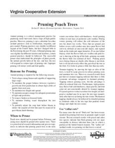 PUBLICATION[removed]Pruning Peach Trees Richard P. Marini, Extension Specialist, Horticulture; Virginia Tech