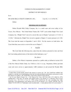 UNITED STATES BANKRUPTCY COURT DISTRICT OF NEW MEXICO In re: PICACHO HILLS UTILITY COMPANY, INC.,  Case No[removed]TL