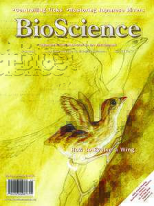 Forum  What Use Is Half a Wing in the Ecology and Evolution of Birds? KENNETH P. DIAL, ROSS J. RANDALL, AND TERRY R. DIAL