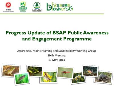 Progress Update of BSAP Public Awareness and Engagement Programme Awareness, Mainstreaming and Sustainability Working Group Sixth Meeting 13 May 2014