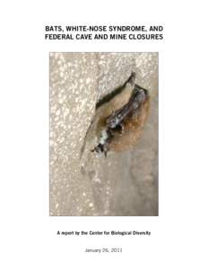 BATS, WHITE-NOSE SYNDROME, AND FEDERAL CAVE AND MINE CLOSURES A report by the Center for Biological Diversity  January 26, 2011