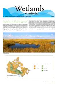 Wetlands in Manitoba A Publication of the Manitoba Eco-Network  Canada has over 127 million hectares of