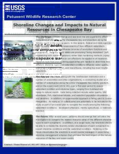 Patuxent Wildlife Research Center  Shoreline Changes and Impacts to Natural Resources in Chesapeake Bay The Challenge: Climate change and sea level rise are expected to affect many miles of shoreline in the Chesapeake Ba