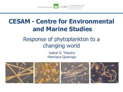 CESAM - Centre for Environmental and Marine Studies Response of phytoplankton to a changing world Isabel G. Teixeira Henrique Queiroga
