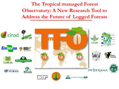 The Tropical managed Forest Observatory: A New Research Tool to Address the Future of Logged Forests Main Purposes of this Presentation 