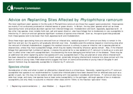 Parent Title  Advice on Replanting Sites Affected by Phytophthora ramorum The most significant plant species in the life cycle of Phytophthora ramorum are those that support spore production; these spores are mainly if n