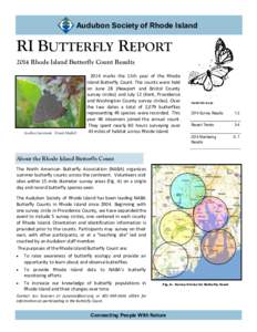 Audubon Society of Rhode Island  RI BUTTERFLY REPORT 2014 Rhode Island Butterfly Count Results  Acadian hairstreak (Frank Model)