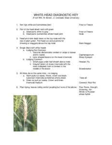 Wheat diseases / Internode / Common root rot / Plant stem / Eyespot / Microbiology