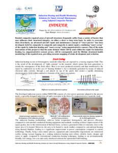 Induction Heating and Health Monitoring Solutions for Smart Aircraft Maintenance using Adapted Composite Patches INDUCER Project No: SP1-JTI-CS[removed]GRA[removed]