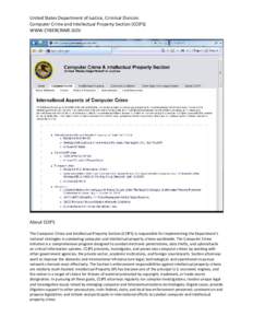 United States Department of Justice, Criminal Division