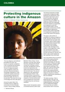Americas / Indigenous peoples of the Amazon / Indigenous peoples in Brazil / Indigenous peoples in Colombia / Intellectual property law / Amazon rainforest / Martn von Hildebrand / Amazon natural region / Barasana people / Traditional knowledge / Macuna people / Shamanism