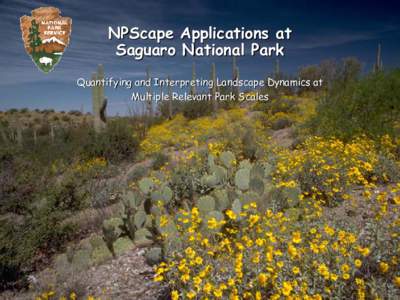 NPScape Applications at Saguaro National Park Quantifying and Interpreting Landscape Dynamics at Multiple Relevant Park Scales  Goals