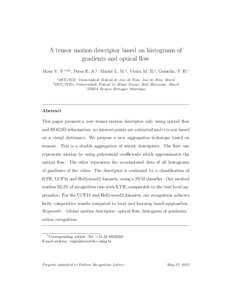 A tensor motion descriptor based on histograms of gradients and optical flow Mota V. F.1a,b , Perez E. A.a , Maciel L. M.a , Vieira M. B.a , Gosselin, P. H.c a  b