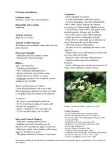Conium maculatum Common name: Hemlock, Carrot fern, Poison Parsley, Palatability to Livestock: Moderate.