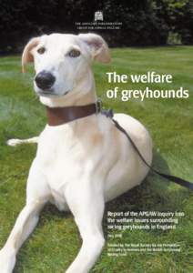 THE ASSOCIATE PARLIAMENTARY GROUP FOR ANIMAL WELFARE The welfare of greyhounds