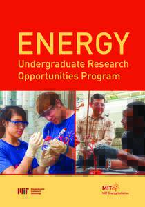 ENERGY Undergraduate Research Opportunities Program About MITEI The MIT Energy Initiative (MITEI) plays an