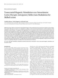Transcranial magnetic stimulation over sensorimotor cortex disrupts anticipatory reflex gain modulation for skilled action
