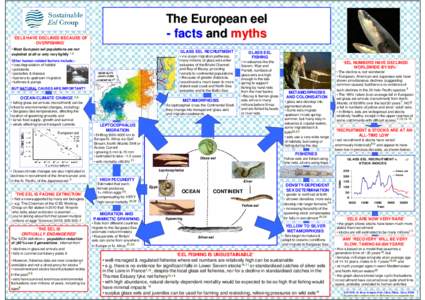 The European eel - facts and myths ‘EELS HAVE DECLINED BECAUSE OF OVERFISHING’ • Most European eel populations are not