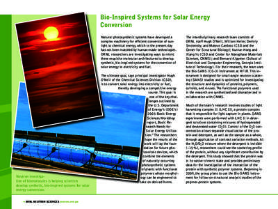 6  SCIENCE HIGHLIGHTS 2008 ANNUAL REPORT Bio-Inspired Systems for Solar Energy Conversion