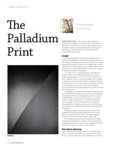 M A S T E R P I E C E  The Palladium Print