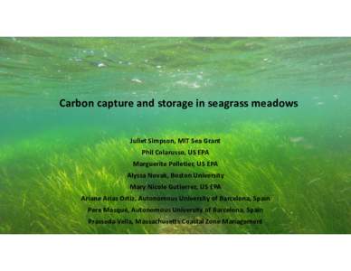 Carbon capture and storage in seagrass meadows Juliet Simpson, MIT Sea Grant Phil Colarusso, US EPA Marguerite Pelletier, US EPA Alyssa Novak, Boston University Mary Nicole Gutierrez, US EPA