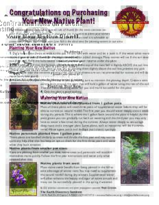 Congratulations on Purchasing Your New Native Plant! The following instructions are a general rule of thumb for the most common natives. If you have gopher problems in your area you may want to plant your natives in wire