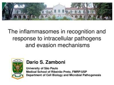 The inflammasomes in recognition and response to intracellular pathogens and evasion mechanisms Dario S. Zamboni University of São Paulo Medical School of Ribeirão Preto, FMRP/USP