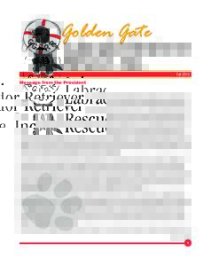 Golden Gate  Labrador Retriever Rescue, Inc. Fall 2010
