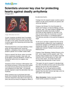 Scientists uncover key clue for protecting hearts against deadly arrhythmia