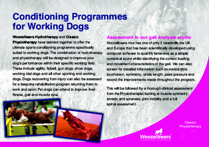 Conditioning Programmes for Working Dogs Woozelbears Hydrotherapy and Classic Physiotherapy have teamed together to offer the ultimate sports conditioning programme specifically suited to working dogs. The combination of
