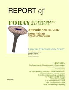 REPORT of FORAY NEWFOUNDLAND & LABRADOR