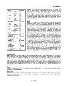 SIAMESE HEAD Shape 38 Points - Profile