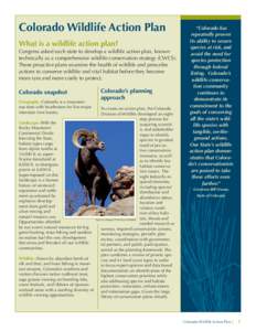 Colorado_Wildlife Action Plan.indd
