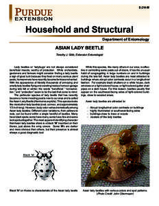 E-214-W  Household and Structural Department of Entomology  ASIAN LADY BEETLE