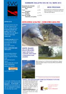 SOMMAIRE BULLETIN SVG N0 124, MARS 2013 Nouvelles de la Société Activité volcanique Etna Focal Stromboli