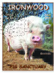 Ironwood Pig Sanctuary / Pot-bellied pig / Domestic pig / Agriculture / Pig farming / Pig / Ironwood /  Michigan / Ironwood / Anthrozoology / Suina