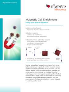 Magnetic Cell Enrichment  Magnetic Cell Enrichment Purity for a cleaner workflow Isolation and purification MagniSort™ Magnetic Cell Separation Kits
