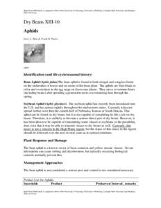 Microsoft Word - Aphids-DryBeans.doc