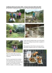 Geddington Brickyard Garden (GBG) – Progress from June 2014 to Dec 2014 By June 2014, a small band of hardy volunteers started to clear and explore the site. At this stage, the derelict barns were still in place and th