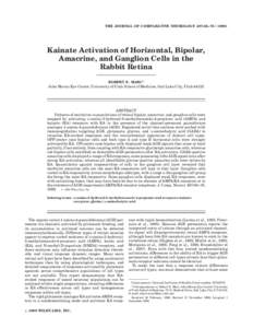 THE JOURNAL OF COMPARATIVE NEUROLOGY 407:65–Kainate Activation of Horizontal, Bipolar, Amacrine, and Ganglion Cells in the Rabbit Retina ROBERT E. MARC*