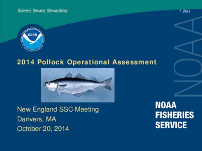 1.2(a[removed]Pollock Operational Assessment New England SSC Meeting Danvers, MA