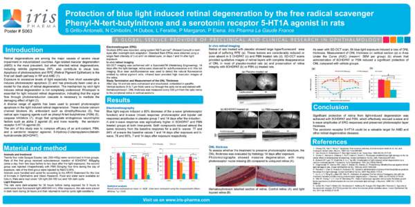 Protection of blue light induced retinal degeneration by the free radical scavenger Phenyl-N-tert-butylnitrone and a serotonin receptor 5-HT1A agonist in rats