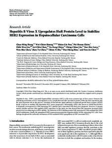 Hepatitis B Virus X Upregulates HuR Protein Level to Stabilize HER2 Expression in Hepatocellular Carcinoma Cells