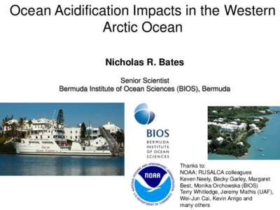 Ocean Acidification Impacts in the Western Arctic Ocean Nicholas R. Bates Senior Scientist Bermuda Institute of Ocean Sciences (BIOS), Bermuda