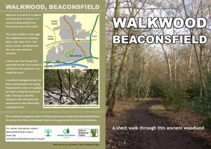 WALKWOOD, BEACONSFIELD Walkwood is an area of woodland WALKWOOD  covering nearly 9 hectares. It is