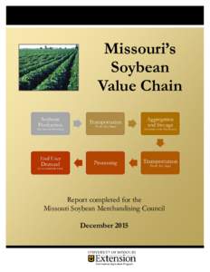 Microsoft Word - Soy Value Chain Report