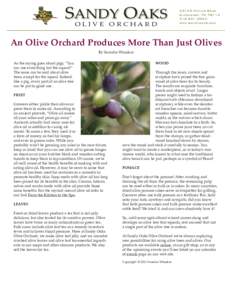 Sandy Oaks Olive OrchardMathis Road Elmendorf, TX0044