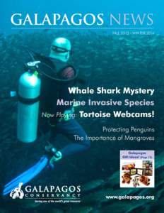 GALAPAGOS NEWS FALL 2013 – WINTER 2014 Whale Shark Mystery Marine Invasive Species Now Playing: Tortoise Webcams!